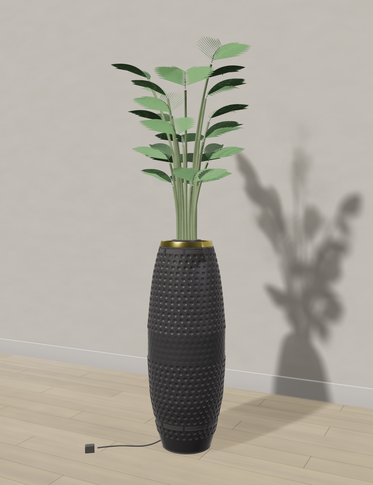 Purispira in black with a gold rim